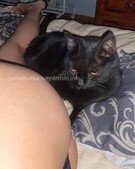 Анкета проститутки Алена - метро Якиманка, возраст - 24